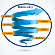 executive function coaching cycle