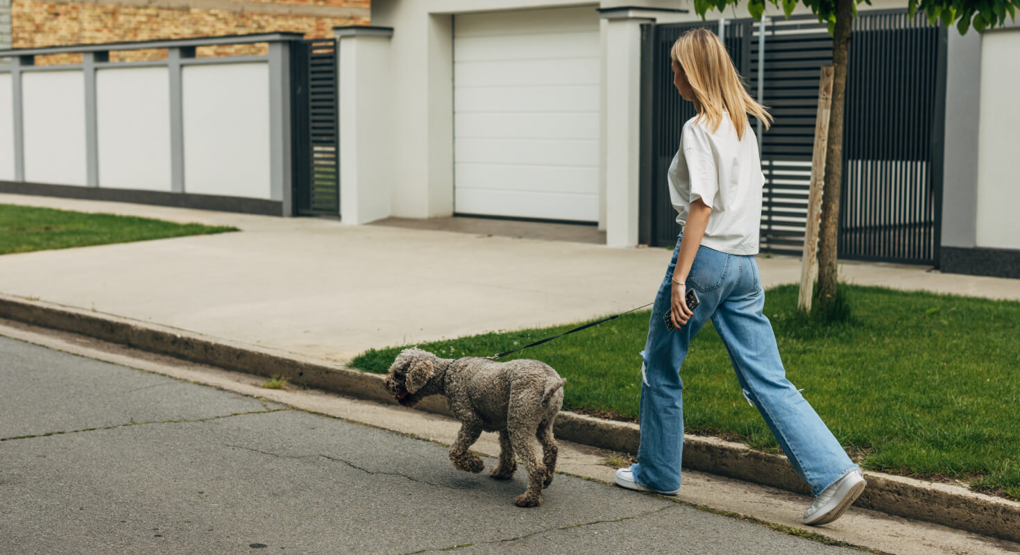 Teenage girl takes a break from studying by walking her medium-sized gray dog on the street on a nice day.